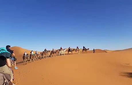 2 Nights Camel Trekking in Merzouga