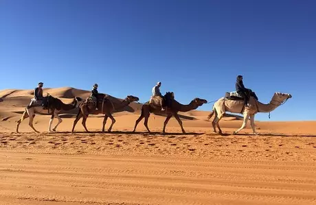 2 Nights Camel Trekking in Merzouga