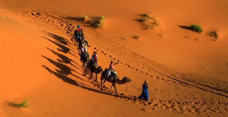 8 Days in Morocco Itinerary - Fes Desert Tour